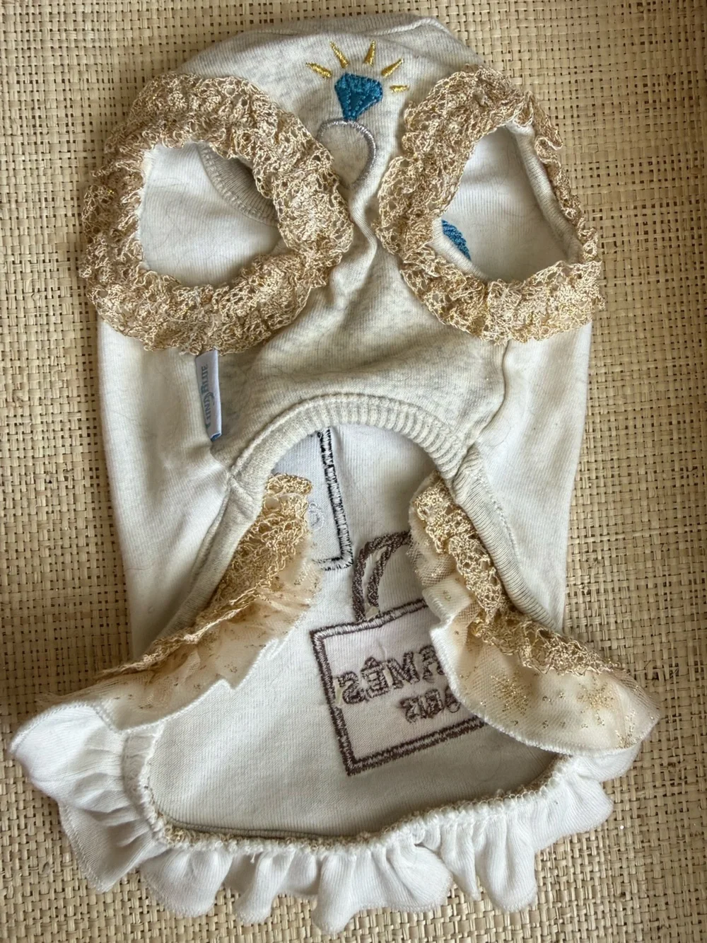 Teacup Dog Dress with Ruffles